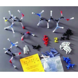 Amino acids super model kit